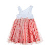 Dress Paul Frank with print and tulle bottom (18 months-8 years)