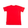 Set 3pcs t-shirt and shorts (6-14 years)
