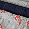 Boxer briefs set 3pcs name it (4-7 years)