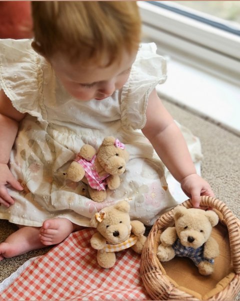 Teddy Bears Picnic Soft Toy Set (12+ months)