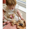 Teddy Bears Picnic Soft Toy Set (12+ months)