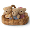 Teddy Bears Picnic Soft Toy Set (12+ months)