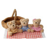Teddy Bears Picnic Soft Toy Set (12+ months)