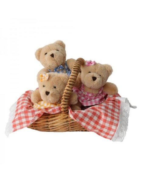 Teddy Bears Picnic Soft Toy Set (12+ months)