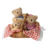 Teddy Bears Picnic Soft Toy Set (12+ months)