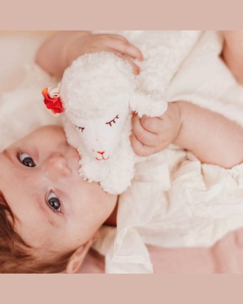Musical soft toy Lamb Kikadu (0+ months)