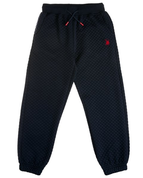 Joggers Greenwich Polo Club with embroidery (2-14 years)