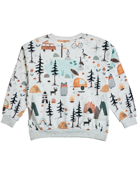 Sweatshirt cotton fleece blend with pattern (12 months-5 years)