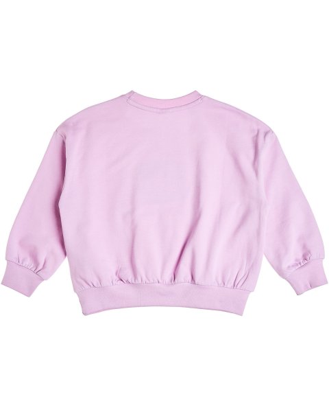 Sweatshirt cotton fleece blend Paul Frank with embroidery (12 months-5 years)