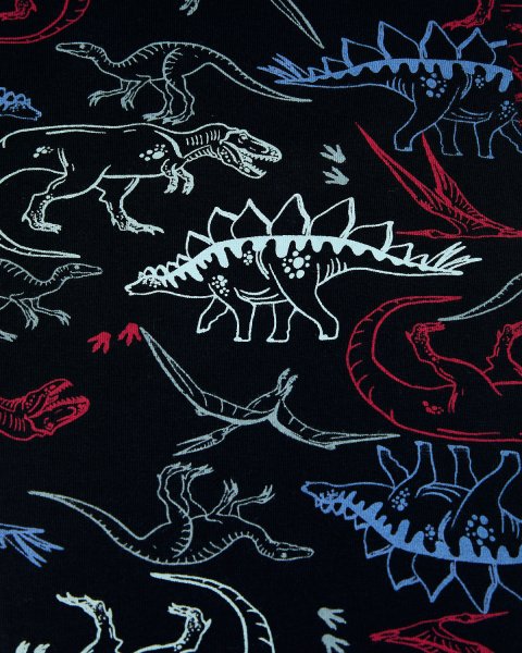 Pyjamas with dinosaurs (6-14 years)
