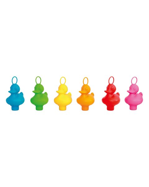 Set of 6 fishing ducks Rainbow Scratch (3+ years)