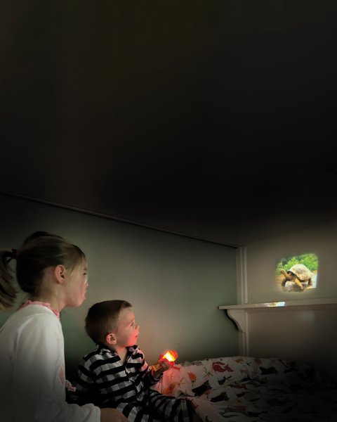 Φακός & Projector light Wild Animals Scratch (3+ ετών)