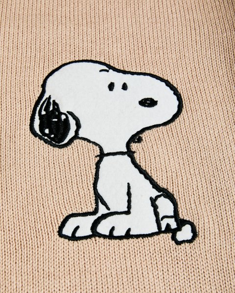 Πουλόβερ Snoopy με κέντημα (12 μηνών-8 ετών)