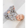 Babygrow Greenwich Polo Club with print (1-12 months)