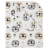 Lion basket with plush toy and 90x75cm blanket Tender Comforts