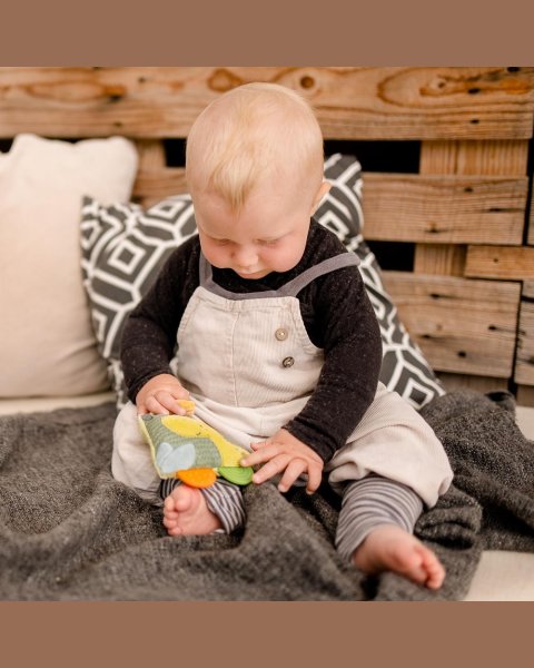 Chewed toy Fehn Happy Dino (0+ months)