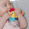 Rattle flower Fehn (0+ months)