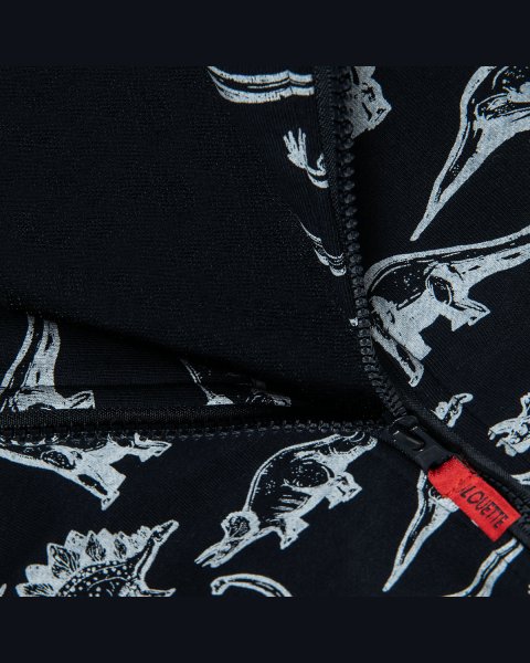 Zip hoodie with dinosaur (12 months-5 years)