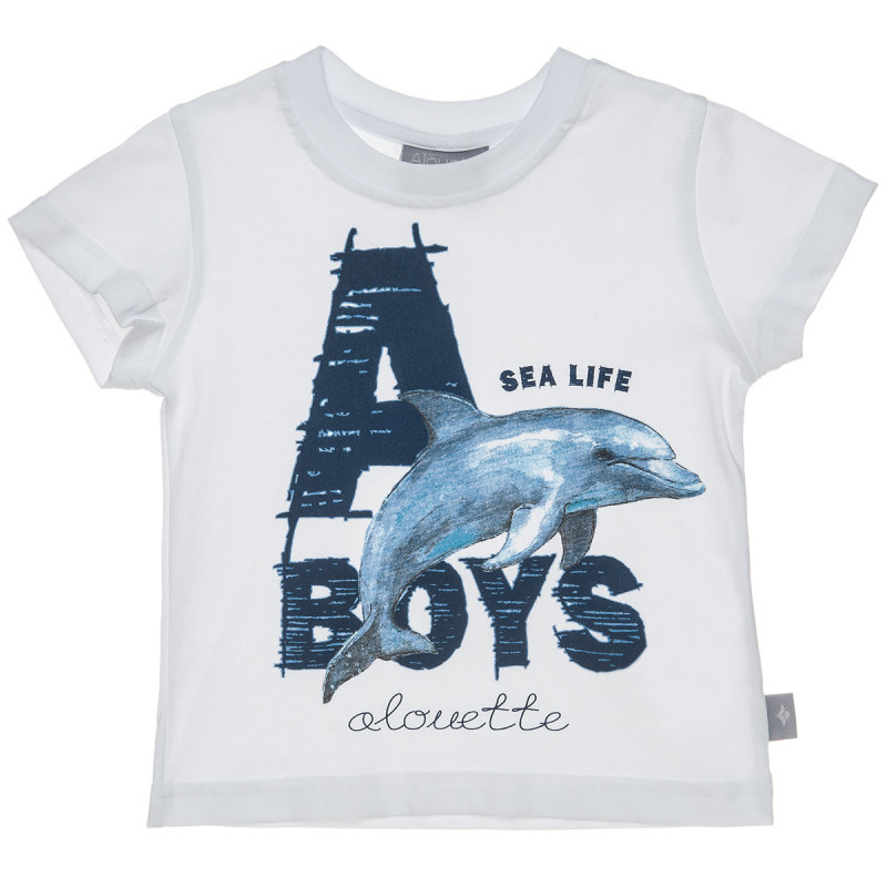 T-Shirt (Boy 6 months-5 years)