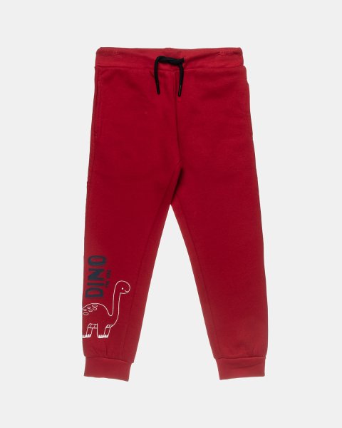 Tracksuit cotton fleece blend with dinosaur print (12 months-5 years)